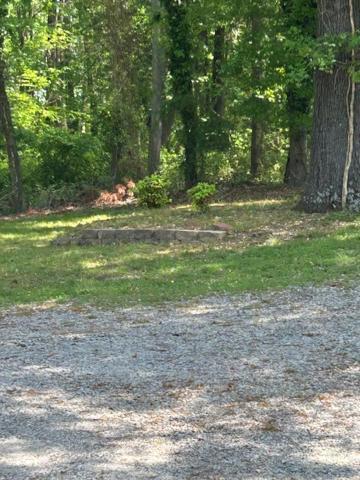 Serene Retreat! 420 Friendly In Designated Area, 3 Minutes To Downtown Richmond Luaran gambar